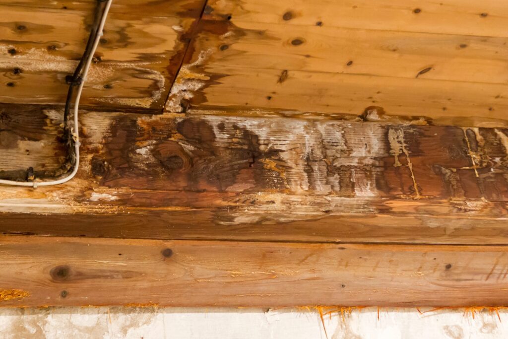 Close-up image showing moisture damage on engineered wood, highlighting a limitation in high-humidity environments